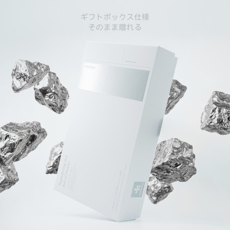 充電器 セット モバイルバッテリー MagSafe 10000mAh 65W 急速充電器