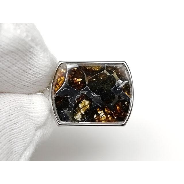 ケニア産 パラサイト セリコ隕石 ペンダントトップ 24×17mm No.630【1