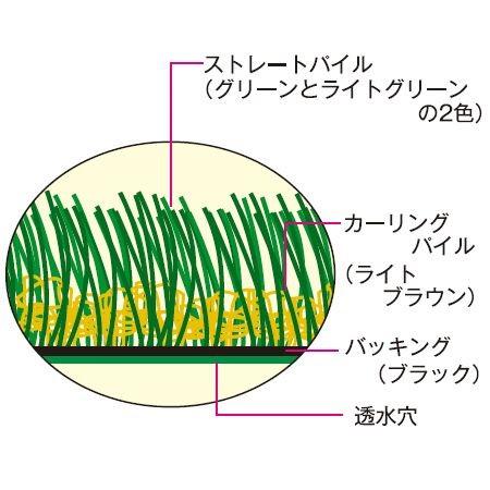 （法人限定） 人工芝 屋外用シート リアリーターフ 1m幅×10m巻 パイル長2cm （ マット ロール リアルタイプ ）の画像