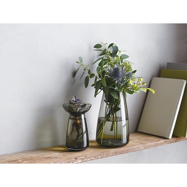 キントー Kinto 花器 Aqua Culture Vase Sサイズ ガラス 花瓶 おしゃれ フラワーベース 花 グリーン 栽培 ハーブ お弁当グッズのカラフルボックス 通販 Yahoo ショッピング