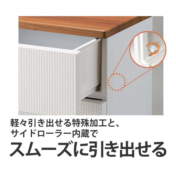 Fits チェスト フィッツプラス メッシュ 幅35×奥行41×高さ85cm FM3504