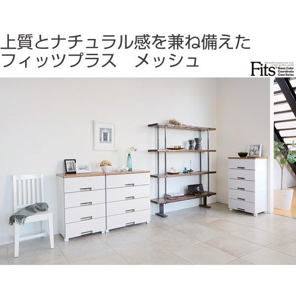Fits チェスト フィッツプラス メッシュ 幅35×奥行41×高さ144cm FM3507