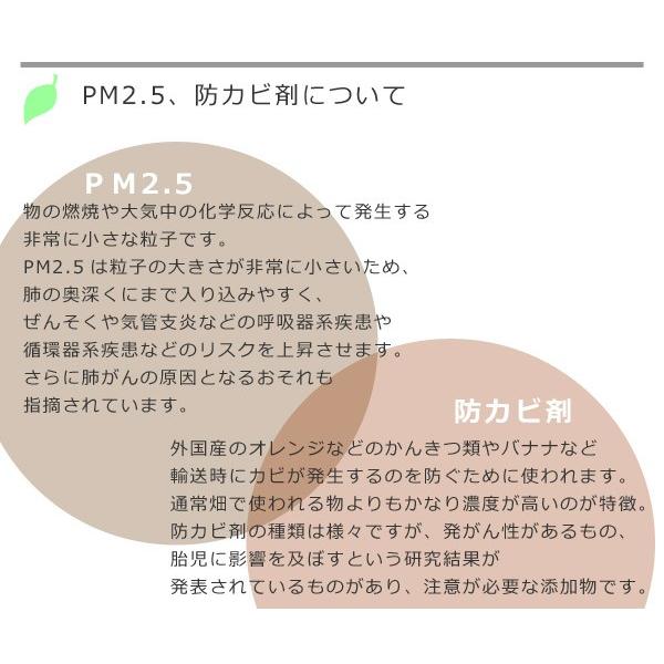 果物野菜洗い　野菜洗浄剤　フルーツ＆ベジタブルウォッシュ　本体　290ml （ 生野菜用 野菜洗い 果物洗い 洗剤 洗浄剤 くだもの洗い ）｜colorfulbox｜06