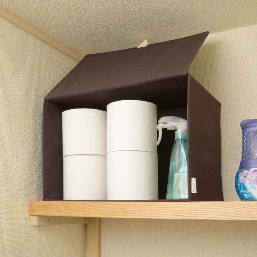 東洋ケース（TOYOCASE） 収納ボックス 上置きボックス 棚上 収納 前