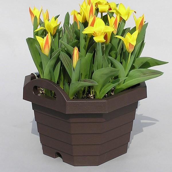 プランター ハンディプランター 八角 18個セット （ 植木鉢 鉢 園芸