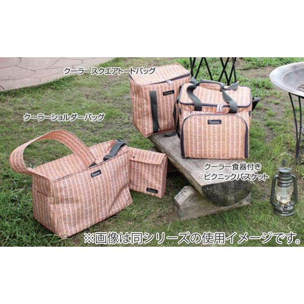 クーラーバッグ 食器付きピクニックバスケット バカンスクーラー