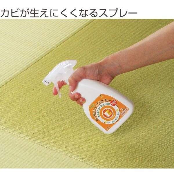 カビ取り カビが生えにくくなるスプレー 部屋用 カビ対策 カビ退治 防カビ リビング 安心 安全 ナチュラル洗剤 エコ洗剤 植物成分 お弁当グッズのカラフルボックス 通販 Yahoo ショッピング