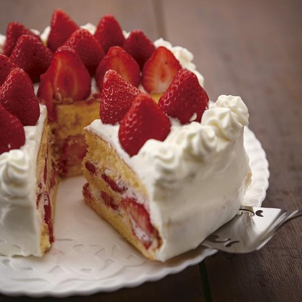 ケーキサーバー 24cm ステンレス製 （ ターナー ケーキ 製菓道具 製菓