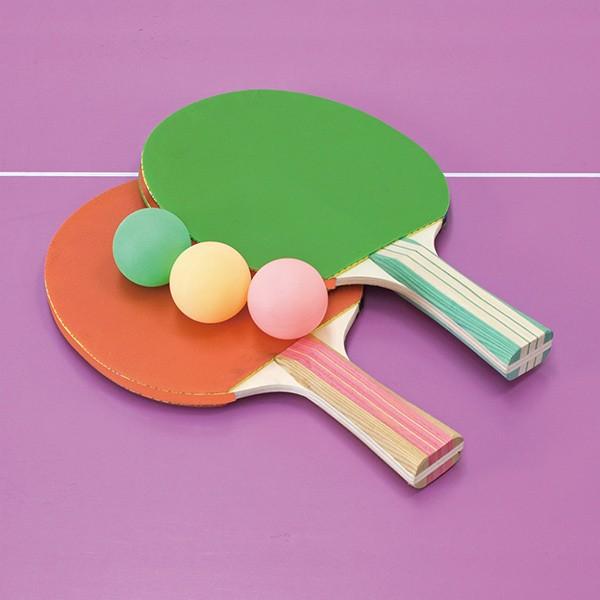 新品 スパイス バカンス バイカラー キャリー 卓球台 どこでも卓球セット SPICE of Life（スパイス オブ ライフ） レジャーテーブル バカンス