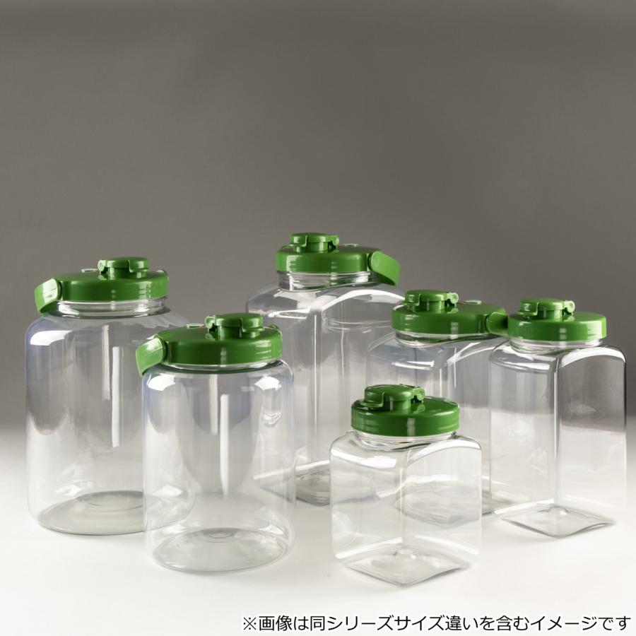 TAKEYA（タケヤ） 梅酒容器 液体密封容器 R型 4.2L プラスチック製