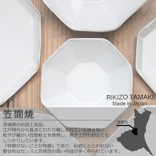 プレート 19cm 洋食器 アミューズ 陶器 食器 笠間焼 日本製 （ 皿 お皿 取り皿 八角形 ）｜colorfulbox｜06