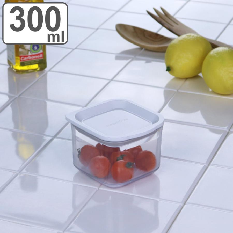 TAKEYA（タケヤ） 保存容器 フレッシュロックコンテナ SS 300ml