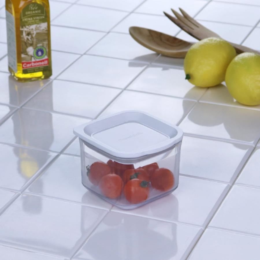 TAKEYA（タケヤ） 保存容器 フレッシュロックコンテナ SS 300ml