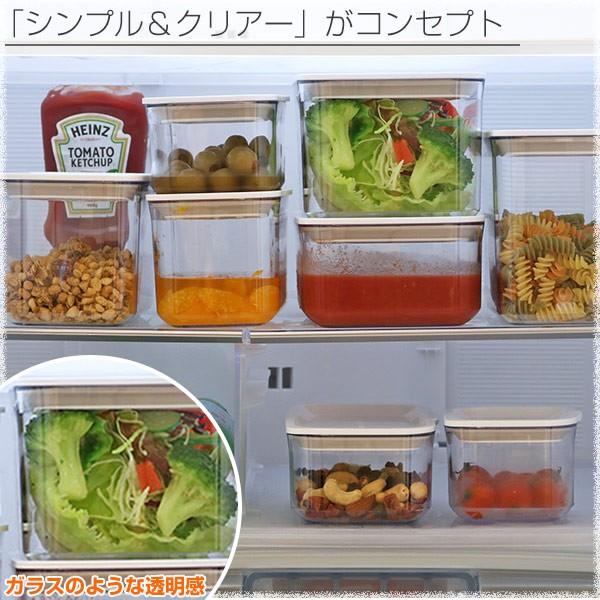 TAKEYA（タケヤ） 保存容器 フレッシュロックコンテナ L 1.8L （ 密閉