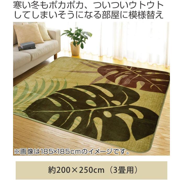 □在庫限り・入荷なし□ ラグ 3畳 200×250cm 床暖 ホットカーペット