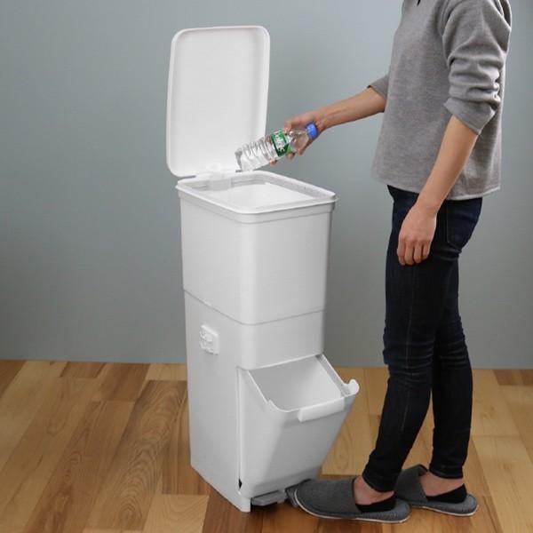 ゴミ箱 ふた付き 分別 ツインペダルペール ネオカラー 2段 46L 幅28.5