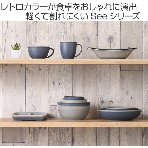 プレート 26cm カレー＆パスタ SEE プラスチック 食器 日本製 同色5枚