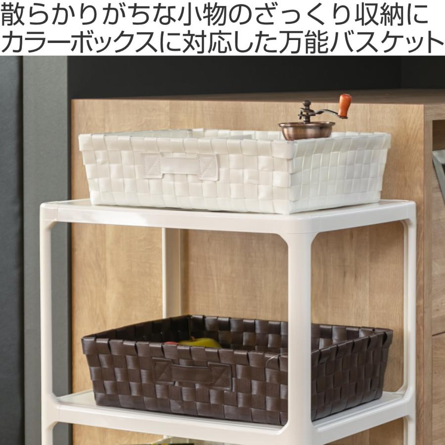 ちどり産業 バスケット PEバスケット 幅36×奥行26×高さ10cm 収納 ちどり産業 バスケット PEバスケット 幅36×奥行26×高さ10cm 収納