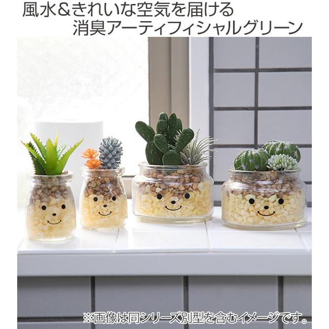 フェイクグリーン 人工観葉植物 ファミーユ 消臭アーティフィシャルグリーン ウィル （ 造花 人工植物 観葉植物 ）｜colorfulbox｜02