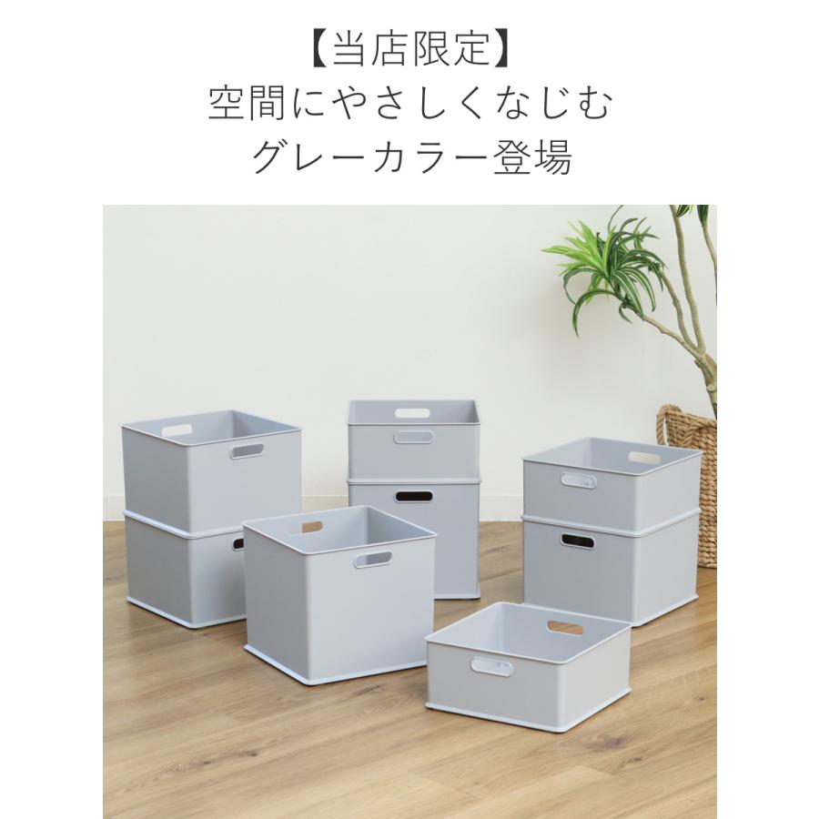 白樺ボックス ケース SANKA カラーボックス 横置き インナーボックス 収納 1/3 ナチュラ