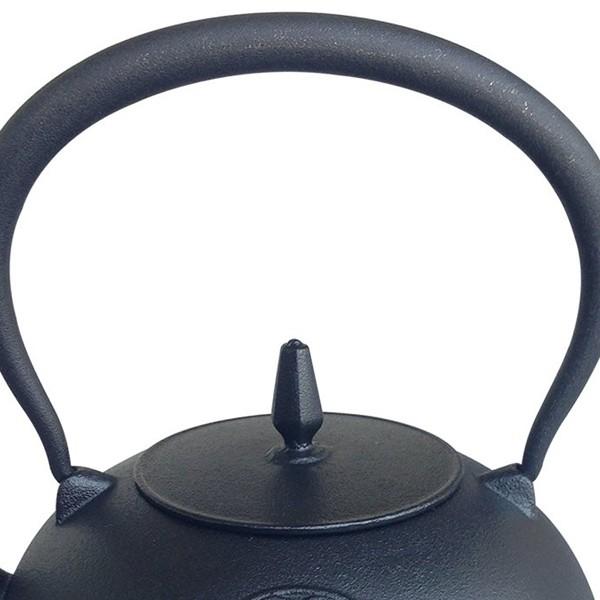 鉄瓶 1.0L ドラえもん 南部鉄瓶 南部鉄器 IH対応 （ ガス火対応 急須