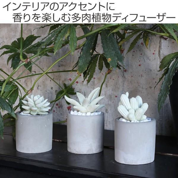 ディフューザー ダルトン Dulton アロエフレグランスディフューザー 多肉植物 芳香剤 ルームフレグランス アロマディフューザー お弁当グッズのカラフルボックス 通販 Yahoo ショッピング