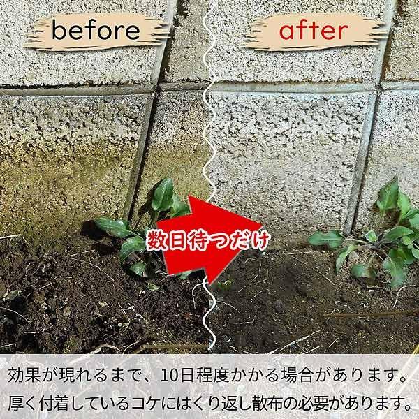 コケ取り カビ取り 茂木和哉 コケ カビとりスプレー 3ml 洗剤 掃除 汚れ カビ お弁当グッズのカラフルボックス 通販 Yahoo ショッピング