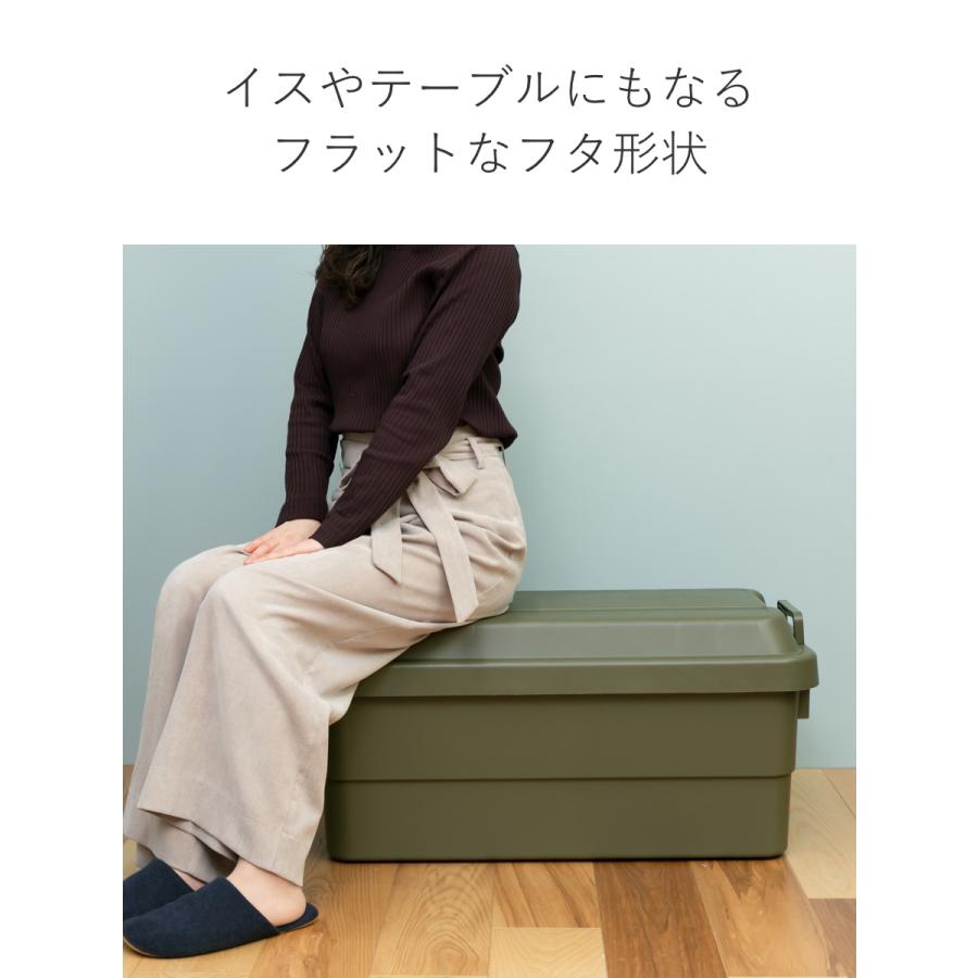 RISU（リス） 収納ボックス 幅78×奥行39×高さ37cm トランクカーゴ