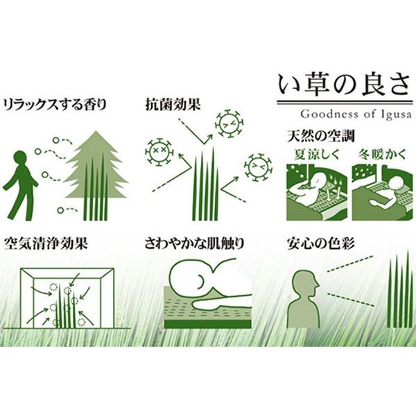 オーダーメイド 畳 国産 ユニット畳 い草 8層 縦316〜340×横196〜220cm （ サイズオーダー オーダー畳 畳マット オーダー い草ラグ い草カーペット ）