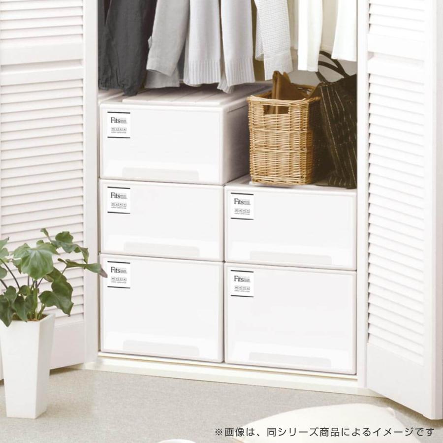 Fits ホワイト 衣類収納ケース 2段 Fits 収納ケース フィッツケース ワイド 同色2個セット ホワイト