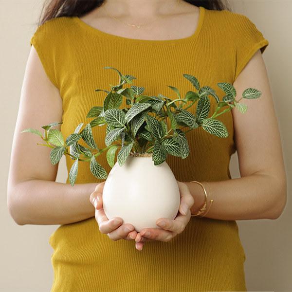 光触媒 人工観葉植物 フィトニア 人工観葉植物 フィットニア 18cm フェイクグリーン 造花 光触媒