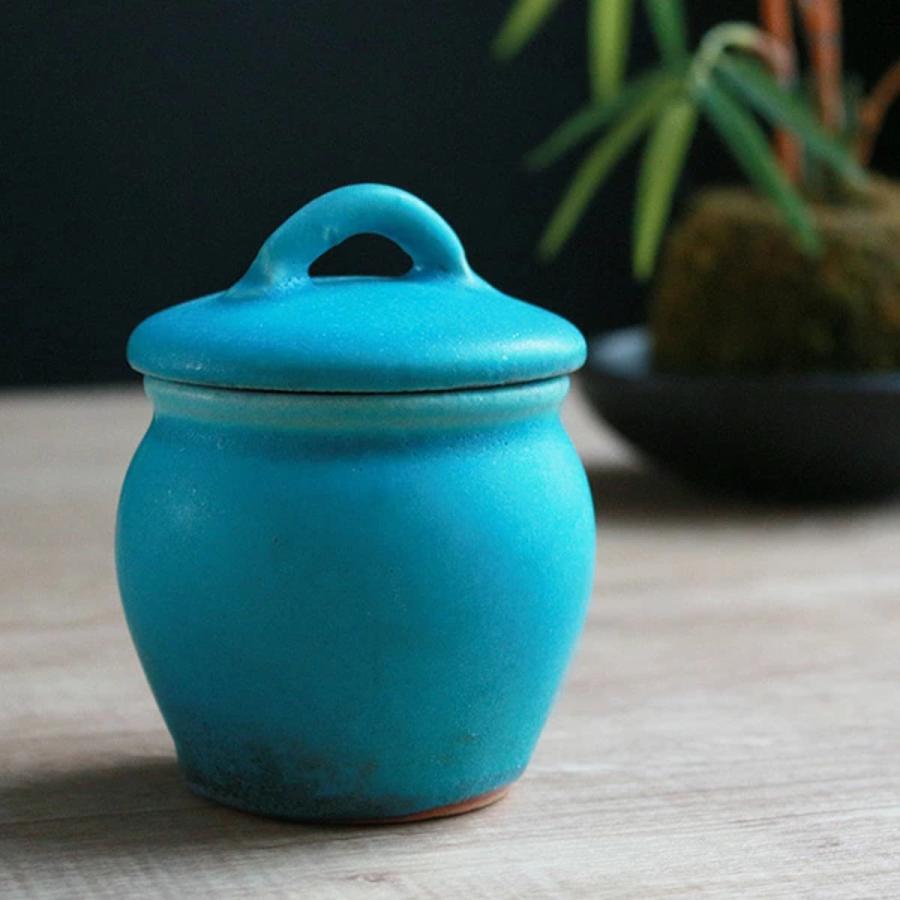 保存瓶 120ml Sサイズ 常備菜入れ Jyobi 漬物容器 ターコイズブルー
