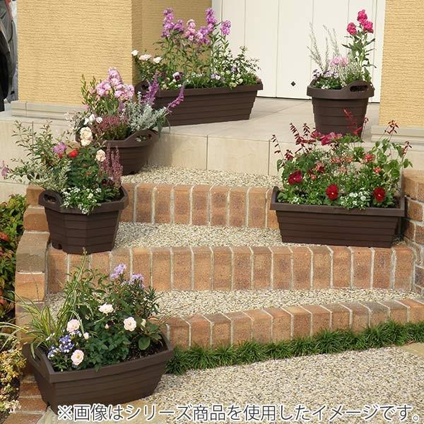 プランター ハンディプランター ボール 3個セット 植木鉢 鉢 園芸用品 ガーデニング set お弁当グッズのカラフルボックス 通販 Yahoo ショッピング