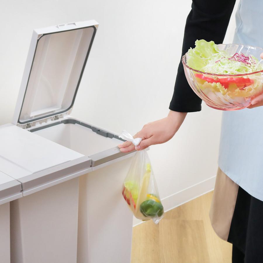 アスベル ゴミ箱 分別 3分別 20L 防臭 密閉 分別ゴミ箱 横型