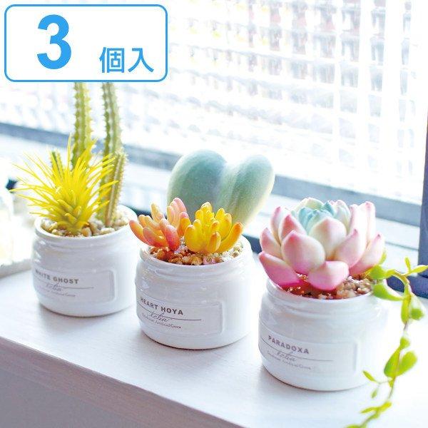 フェイクグリーン 3個入 Aset エクリア CT触媒 観葉植物 （ ミニ 人工観葉植物 造花 ）（Yahoo!・お弁当グッズのカラフルボックス）