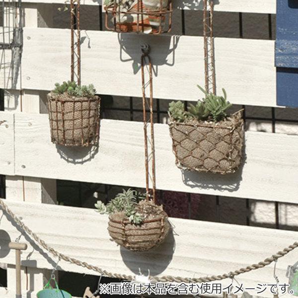 プランター 壁掛け ウォールワイヤーデコ タイプa 直径8 5 高さ31 5cm 吊り下げ型 ハンキングバスケット 丸型 ワイヤー フラワーポット 植木鉢 お弁当グッズのカラフルボックス 通販 Yahoo ショッピング