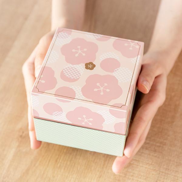 お弁当箱 2段 ランチボックス Umeka 梅 角弁当箱 610ml ( 弁当 お弁当箱 2段 ランチボックス Umeka 梅 角弁当箱 610ml ( 弁当