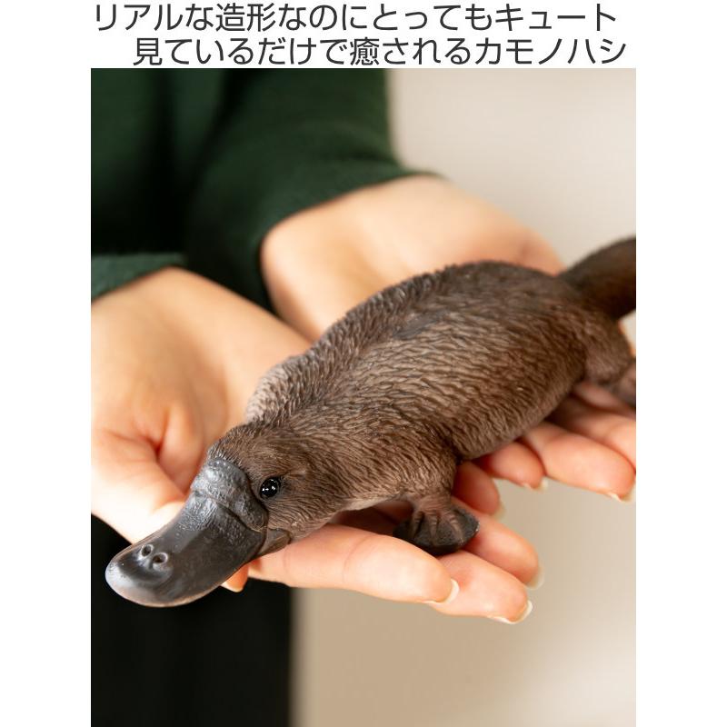 【バカラ】動物 カモ 置物 インテリア★美品★金運 カモノハシ 貯金箱 リアル オブジェ 置物 インテリア （ 雑貨 動物