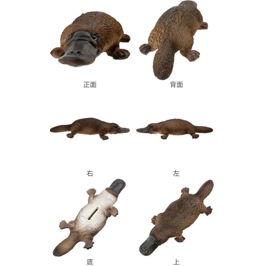 カモノハシ 貯金箱 リアル オブジェ 置物 インテリア 雑貨 動物 アニマル お弁当グッズのカラフルボックス 通販 Yahoo ショッピング