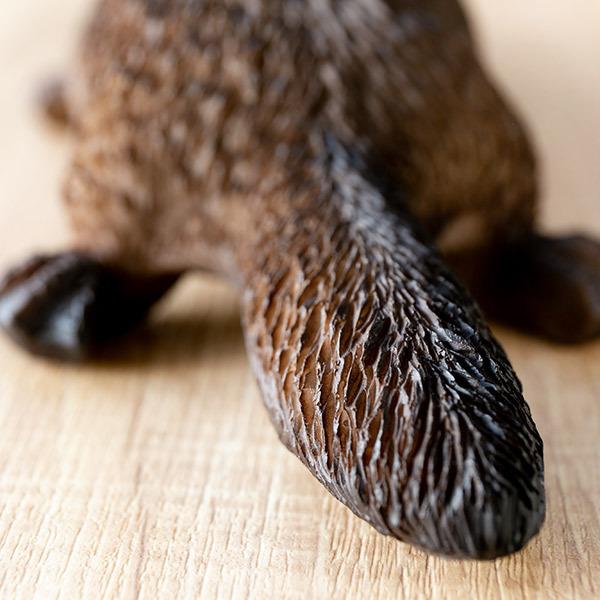 カモノハシ 貯金箱 リアル オブジェ 置物 インテリア （ 雑貨 動物