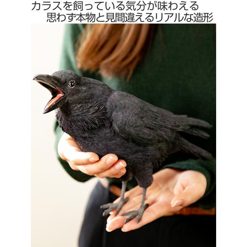 カラス 貯金箱 リアル オブジェ 置物 インテリア （ 雑貨 動物