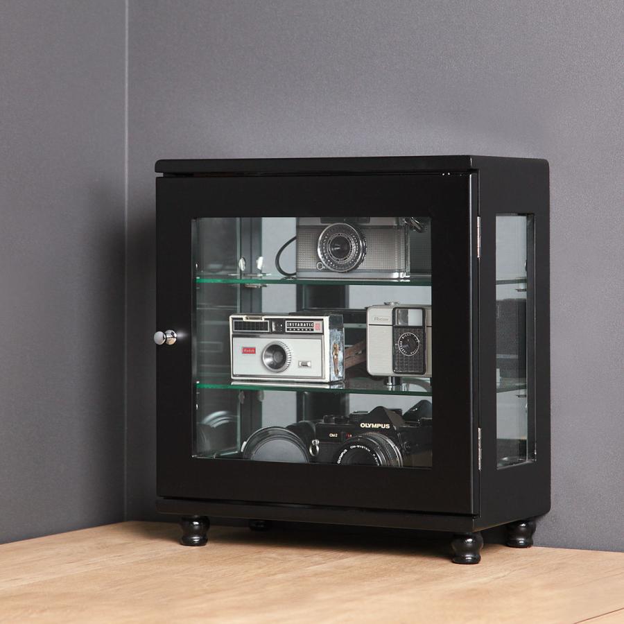 ミヤグチ企販 ミニコレクションラック ショーケース ワイドタイプ 幅