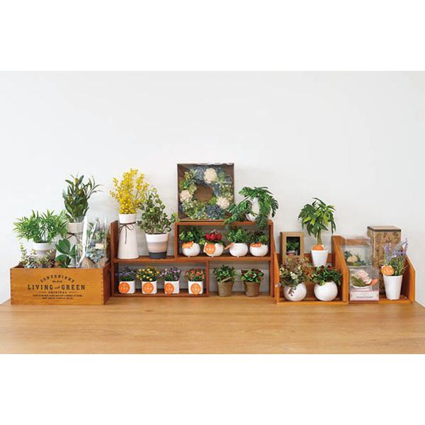 アンティーク 木製ラック クラシックデザイン 2引き出し付 本棚 ブック