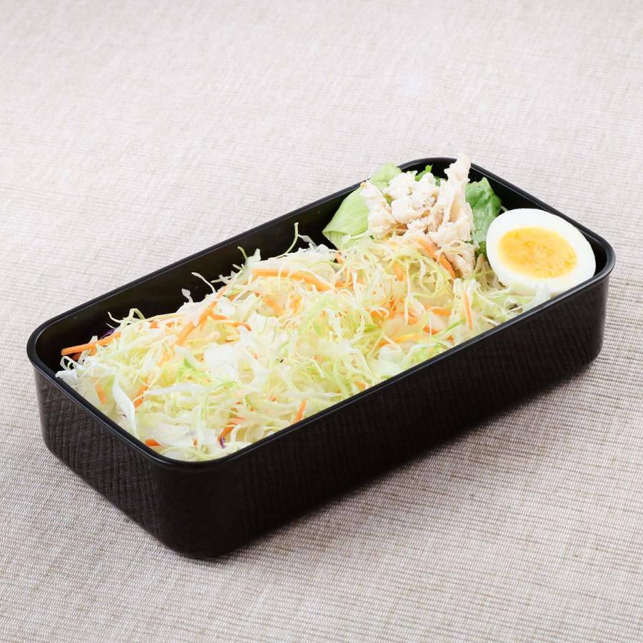 スケーター お弁当箱 1段 830ml 抗菌 パッキン一体型 ふわっと レトロ