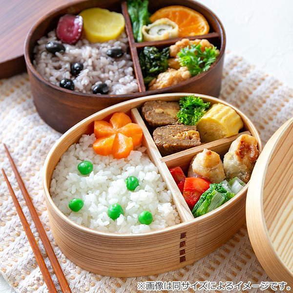 弁当箱 曲げわっぱ 600ml 1段 ウレタン Kutan 梅畳 （ お弁当箱 ランチ