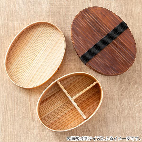 弁当箱 曲げわっぱ 600ml 1段 ウレタン Kutan 梅畳 （ お弁当箱 ランチ