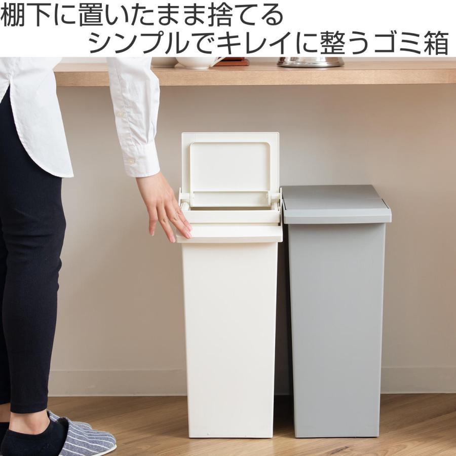 ゴミ箱 30L 同色2個セット TOSTE レバーオープン ( ごみ箱 トステ 30リットル ダストボックス 棚下 OK 分別 ふた付き おしゃれ ) :360589set:お弁当グッズのカラフルボックス - 通販 - Yahoo!ショッピング ゴミ箱 30L 同色2個セット TOSTE レバーオープン ( ごみ箱 トステ 30リットル ダストボックス 棚下 OK 分別 ふた付き おしゃれ ) :360589set:お弁当グッズのカラフルボックス - 通販 - Yahoo!ショッピング