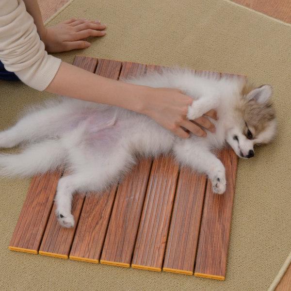 CB JAPAN（シービージャパン） クールアルミすのこ 木調 L 52cm×40cm