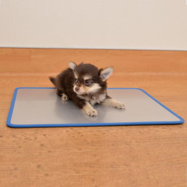 クールアルミプレート M 40 3cm 30 3cm ペット 暑さ対策 ひんやりマット クールマット ひんやり シート お弁当グッズのカラフルボックス 通販 Yahoo ショッピング