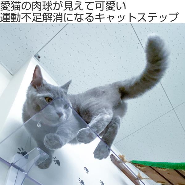 タカラ産業 キャットステップ Cat Steps 壁 ワイドステップ 透明